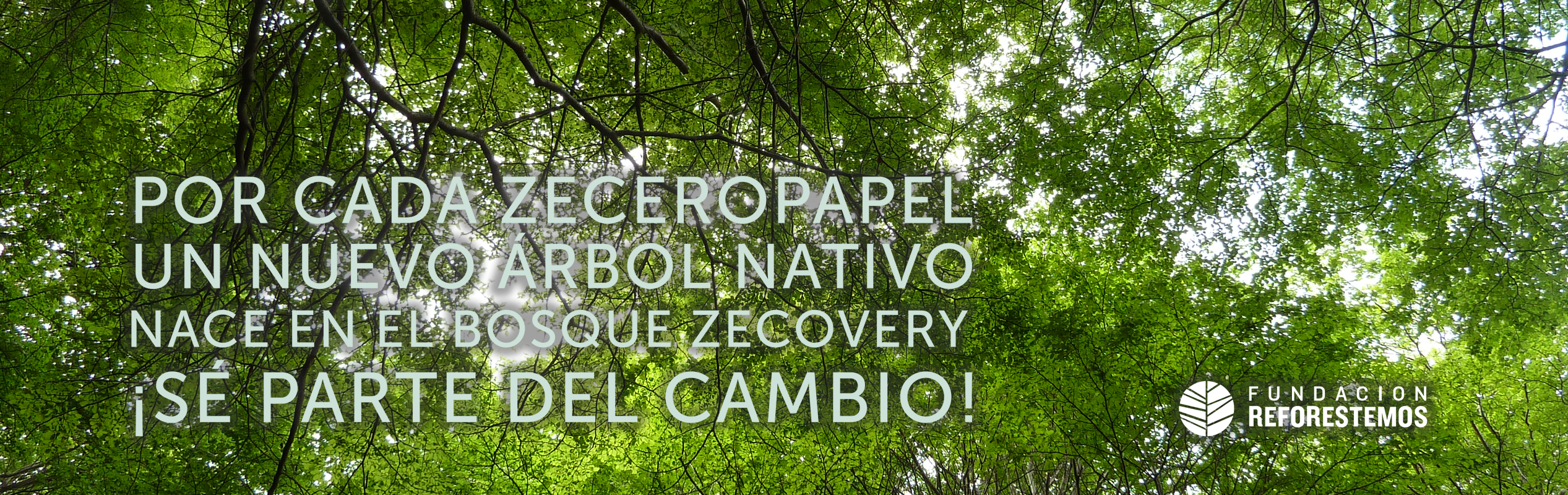 Bosque Zecovery